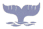 Whale